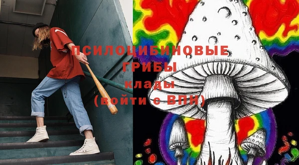 экстази Каменногорск